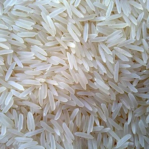 1509 White Sella